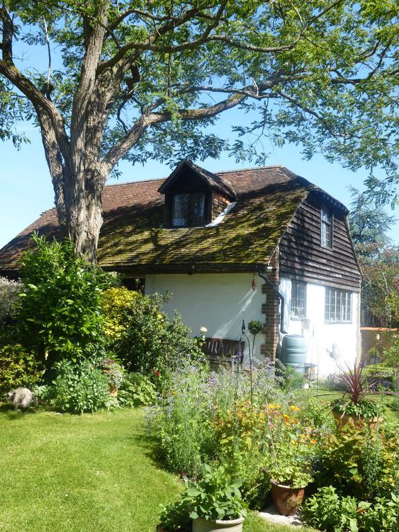 Strawberry Cottage B&B Hedge End Exteriör bild