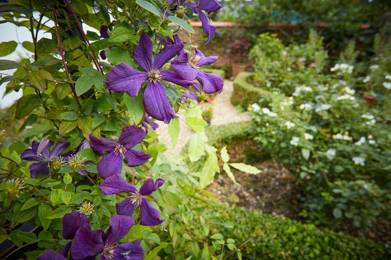 Strawberry Cottage B&B Hedge End Exteriör bild